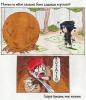post-86570-1191943080_thumb.jpg