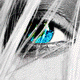 post-58365-1225369285_thumb.gif
