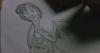 post-79800-1224362517_thumb.jpg