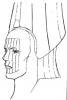 post-81469-1195332564_thumb.jpg