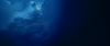 post-54523-1225571350_thumb.png