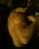post-125622-1258204271_thumb.jpg