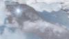 post-97061-1197402055_thumb.jpg