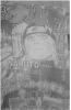 post-112296-1229544624_thumb.jpg