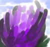 post-54764-1230206133_thumb.jpg