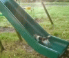post-55118-1261236020_thumb.gif