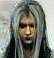 greyfox